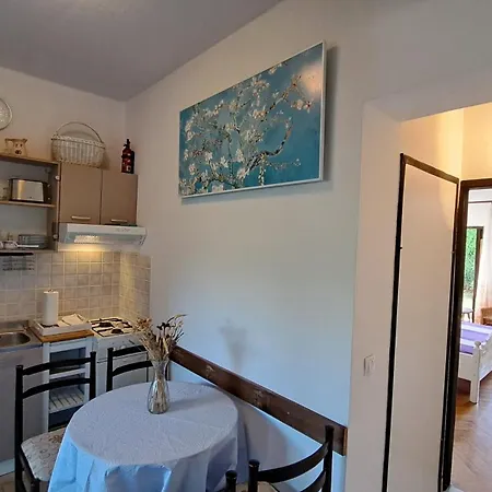Apartamento Cocolo