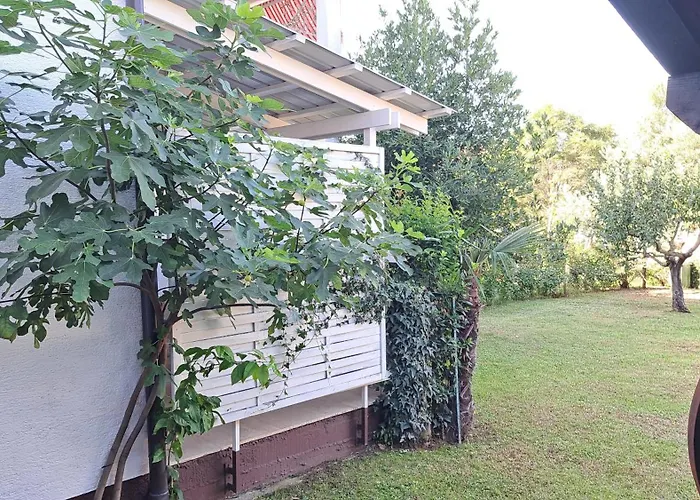 Cocolo Lejlighed Poreč